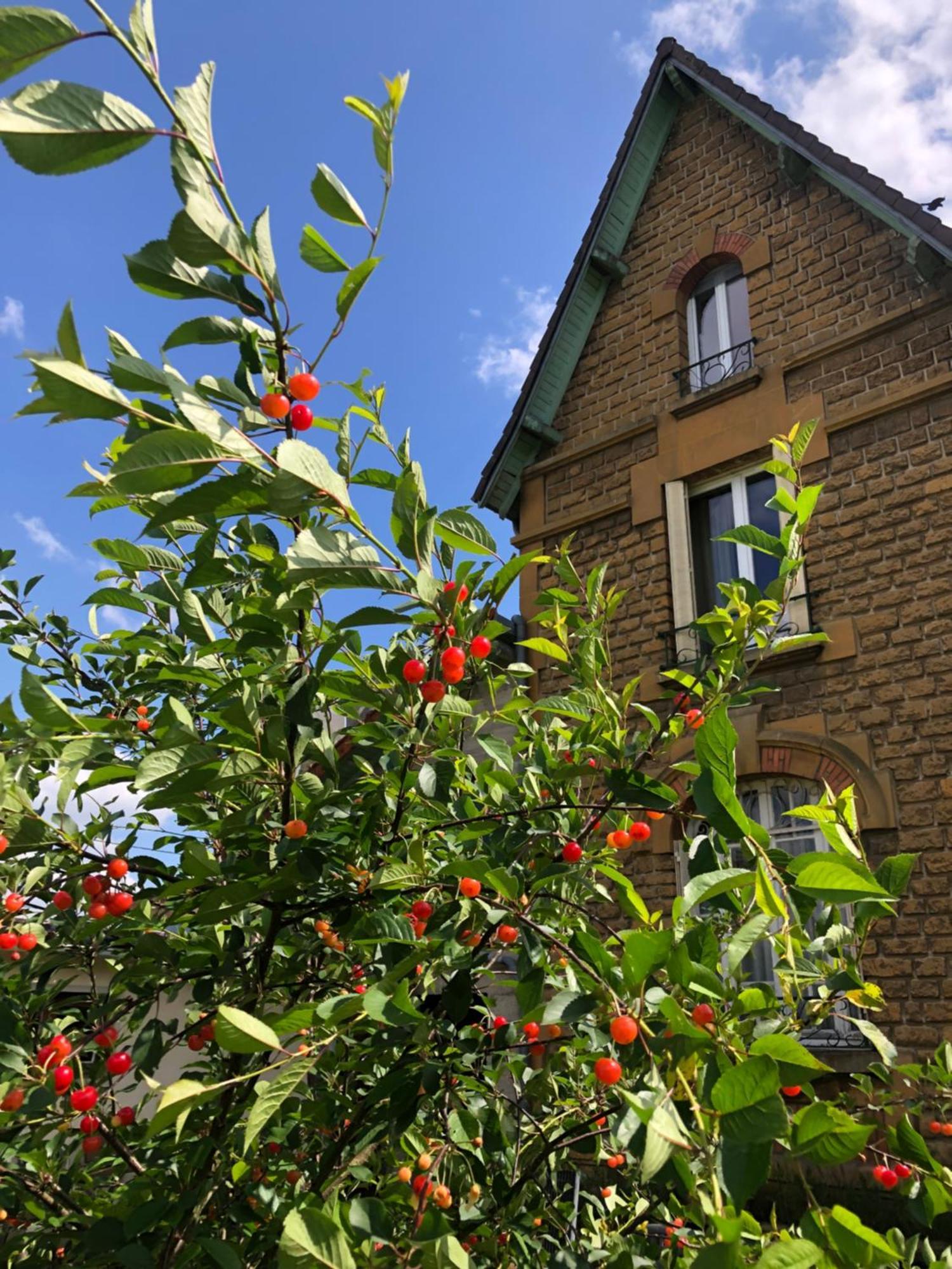 Villa Bonne Entente Donchery Екстериор снимка